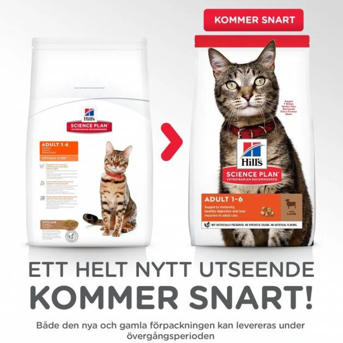 Hill's Science Plan Cat Adult Lamb