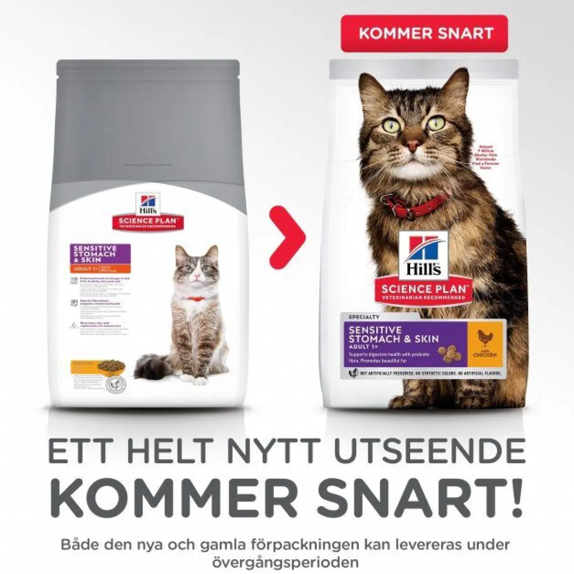 Hill's Science Plan Cat Adult Sensitive Stomach & Skin Chicken
