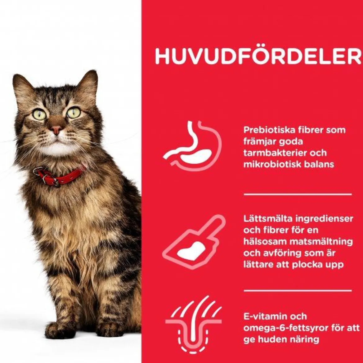 Hill's Science Plan Cat Adult Sensitive Stomach & Skin Chicken