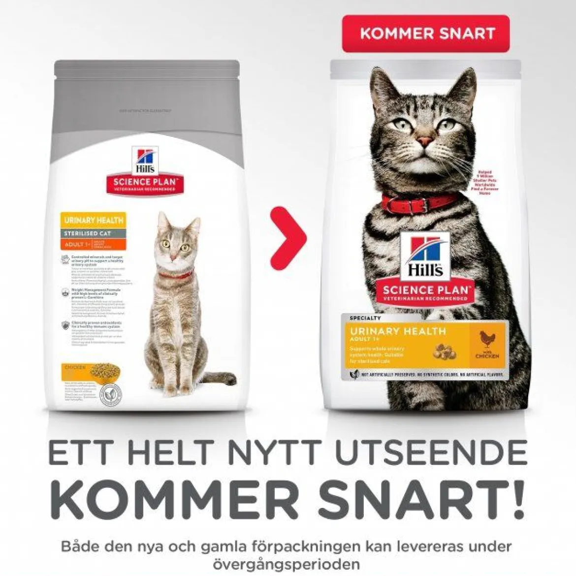 Hill's Science Plan Cat Adult Urinary Health Chicken