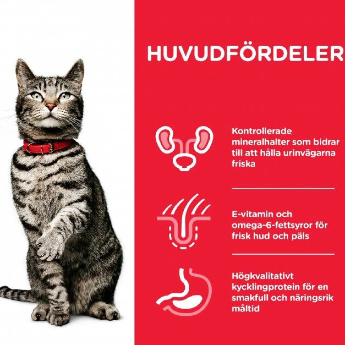 Hill's Science Plan Cat Adult Urinary Health Chicken