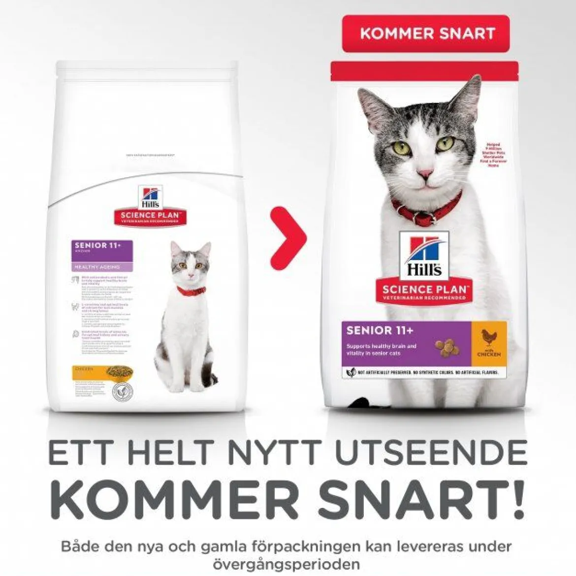 Hill's Science Plan Cat Senior 11+ Chicken