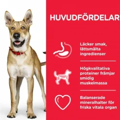 Hill's Science Plan Dog Adult Performance Chicken 14 kg