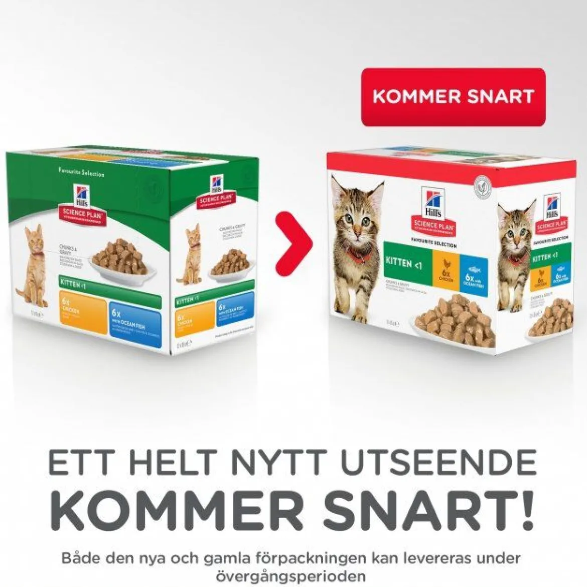 Hill's Science Plan Kitten Chicken & Ocean Fish 12x85 g