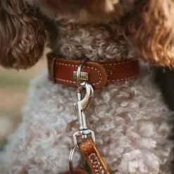 Hunter Aalborg Special Hundhalsband Brun
