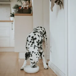 Hunter Lisboa Keramikskål till Hund Krämvit