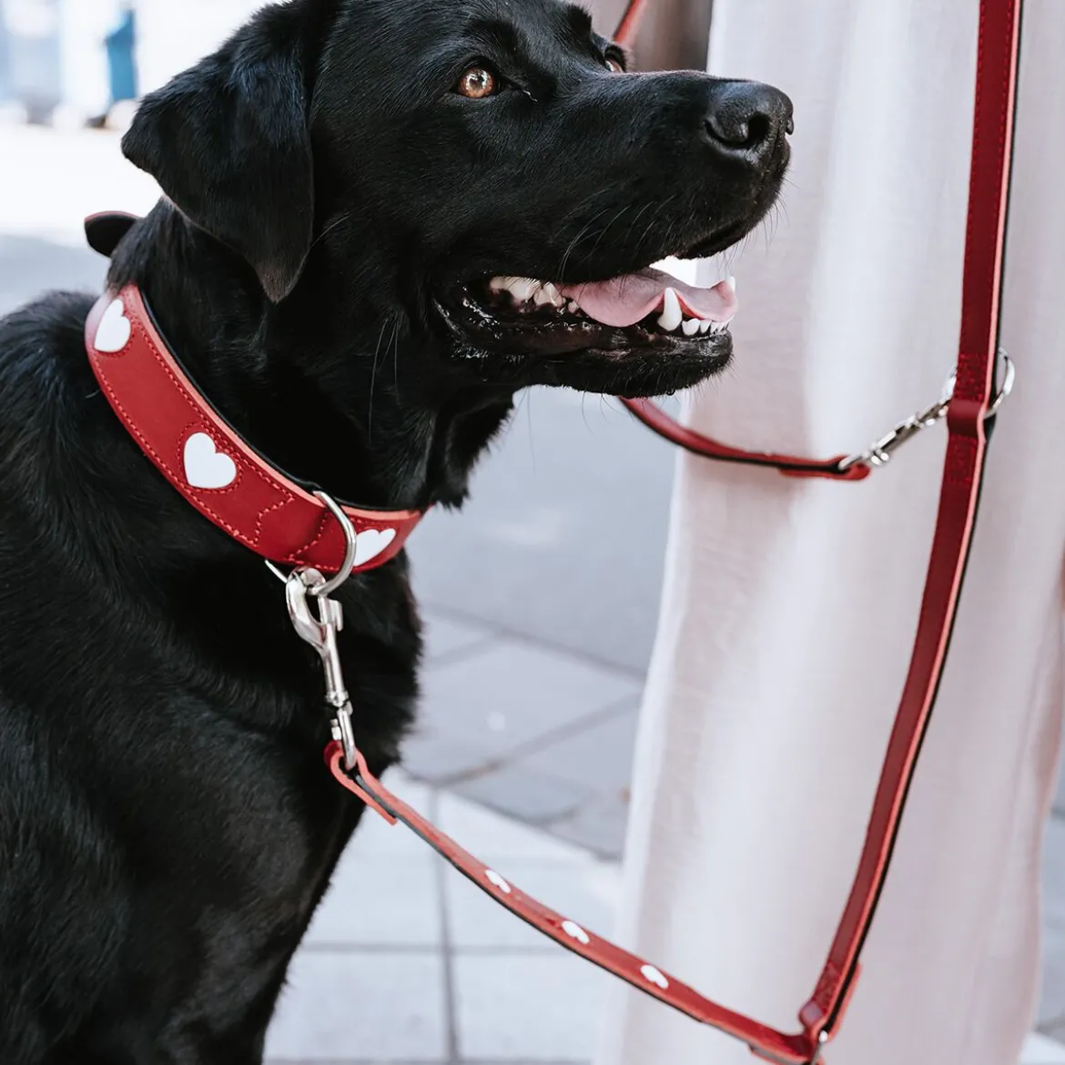 Hunter Love Hundhalsband Röd