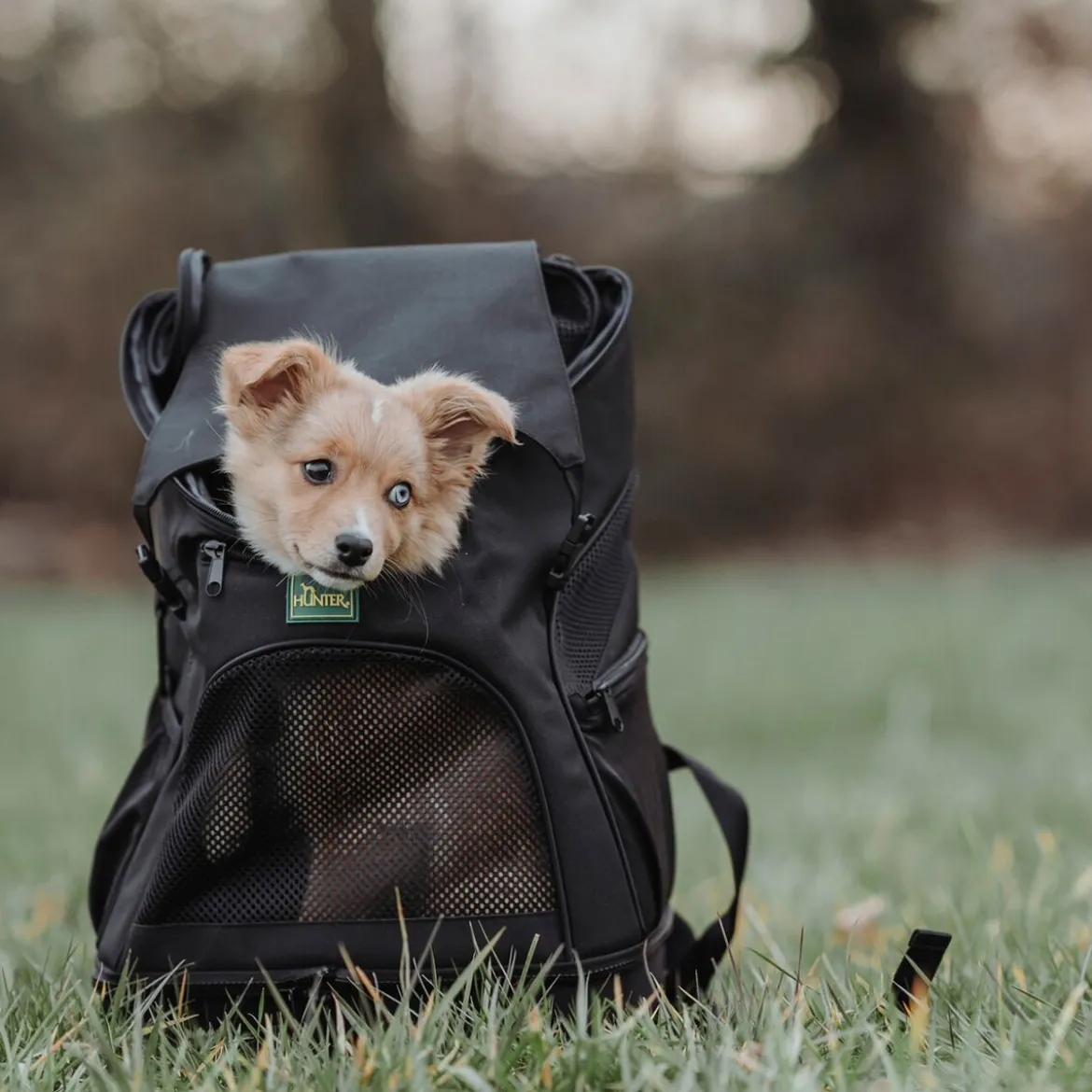 Hunter Miles Ryggsäck till Hund Svart