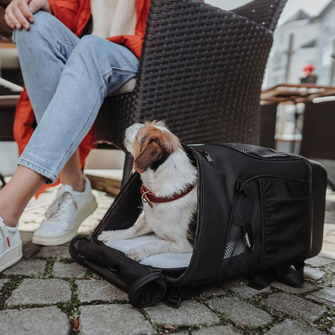 Hunter Miles Ryggsäck till Hund Svart
