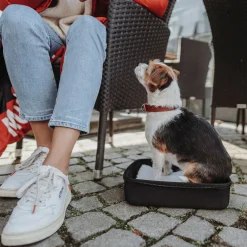 Hunter Miles Ryggsäck till Hund Svart