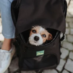 Hunter Miles Ryggsäck till Hund Svart