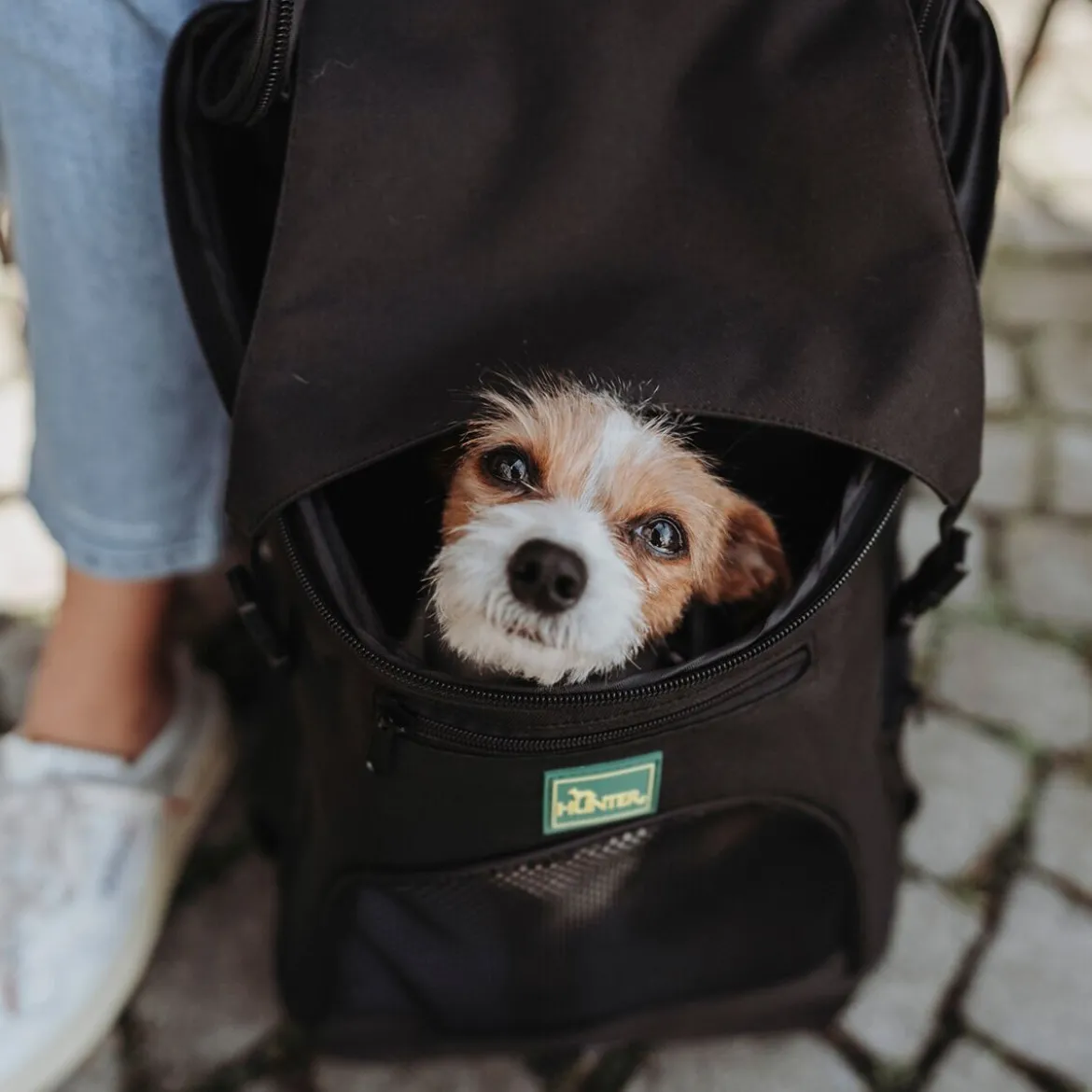 Hunter Miles Ryggsäck till Hund Svart