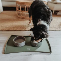 Hunter Osby Hundmatskål i Keramik Grön