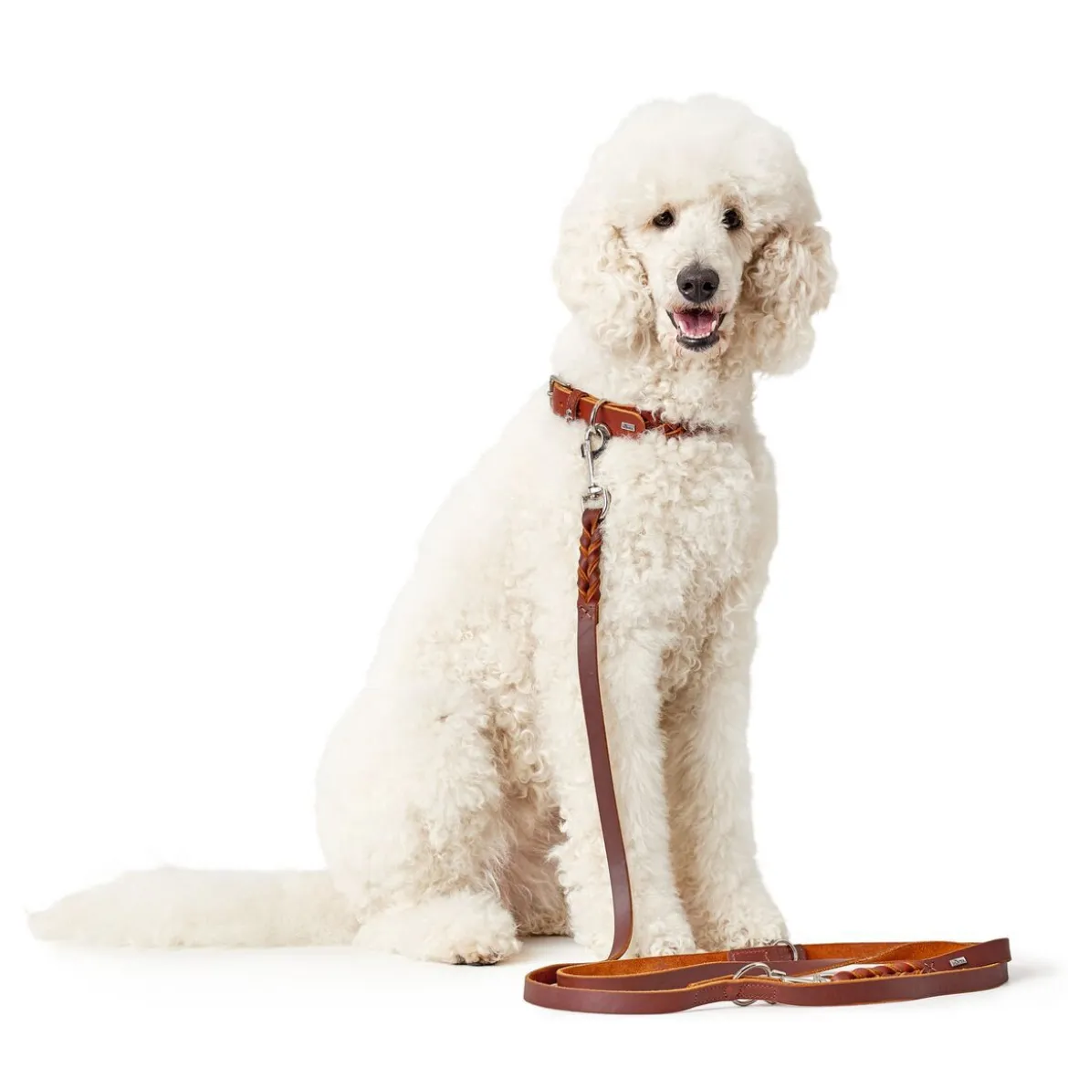 Hunter Solid Education Hundhalsband Halvstryp Brun