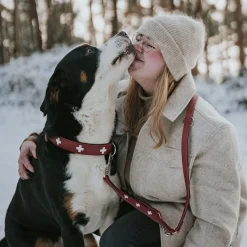 Hunter Swiss Hundhalsband Röd