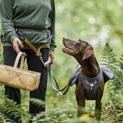 Hurtta Expedition ECO Hundförarbälte Grå