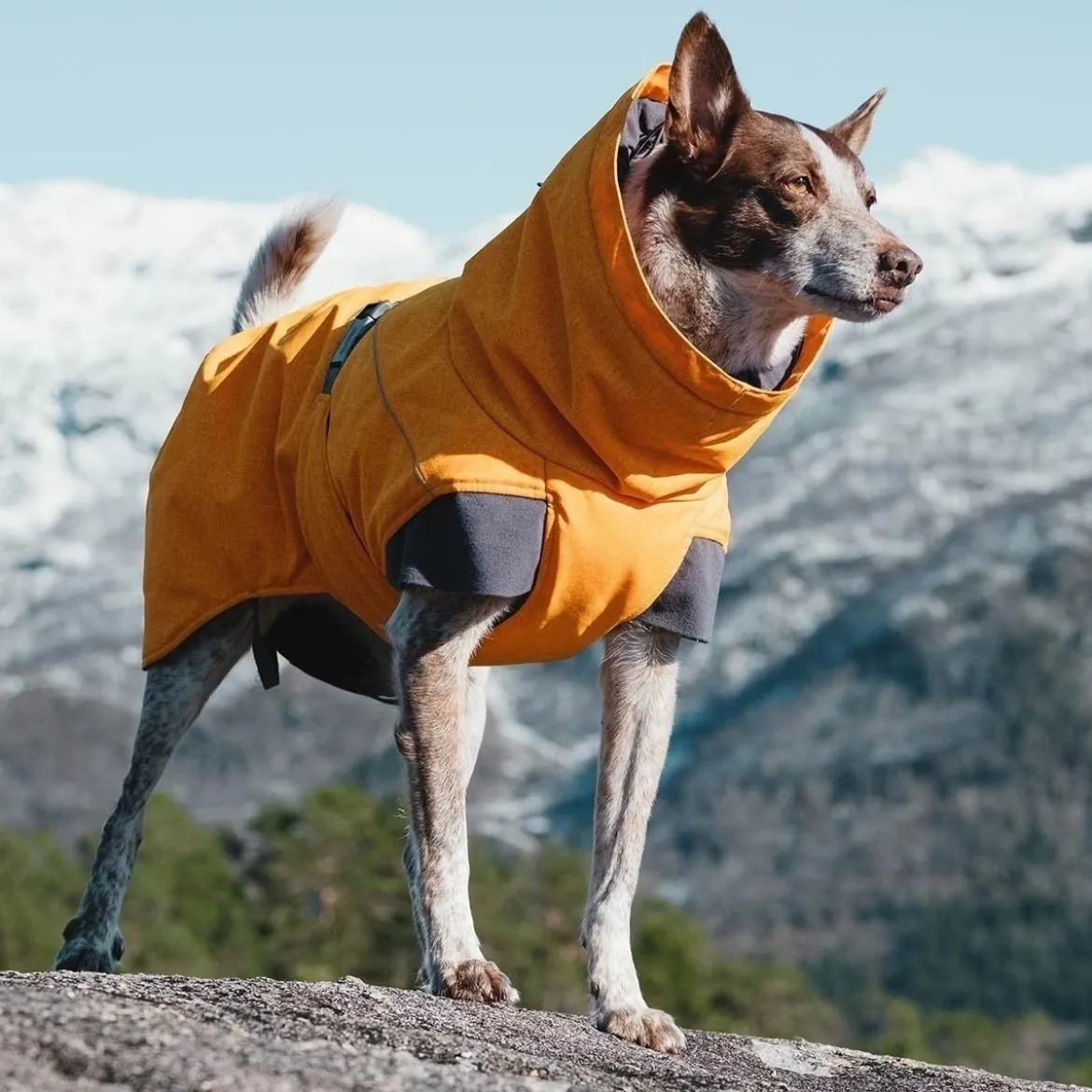 Hurtta Expedition Parka Vintertäcke Orange