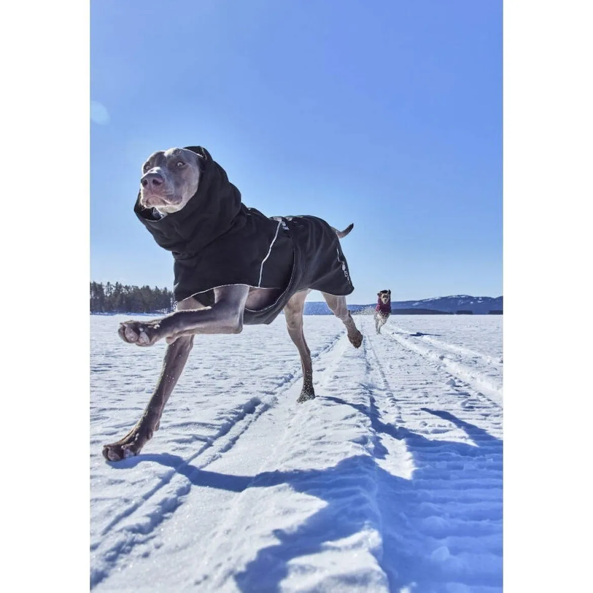 Hurtta Extreme Warmer III ECO Hundjacka Svart