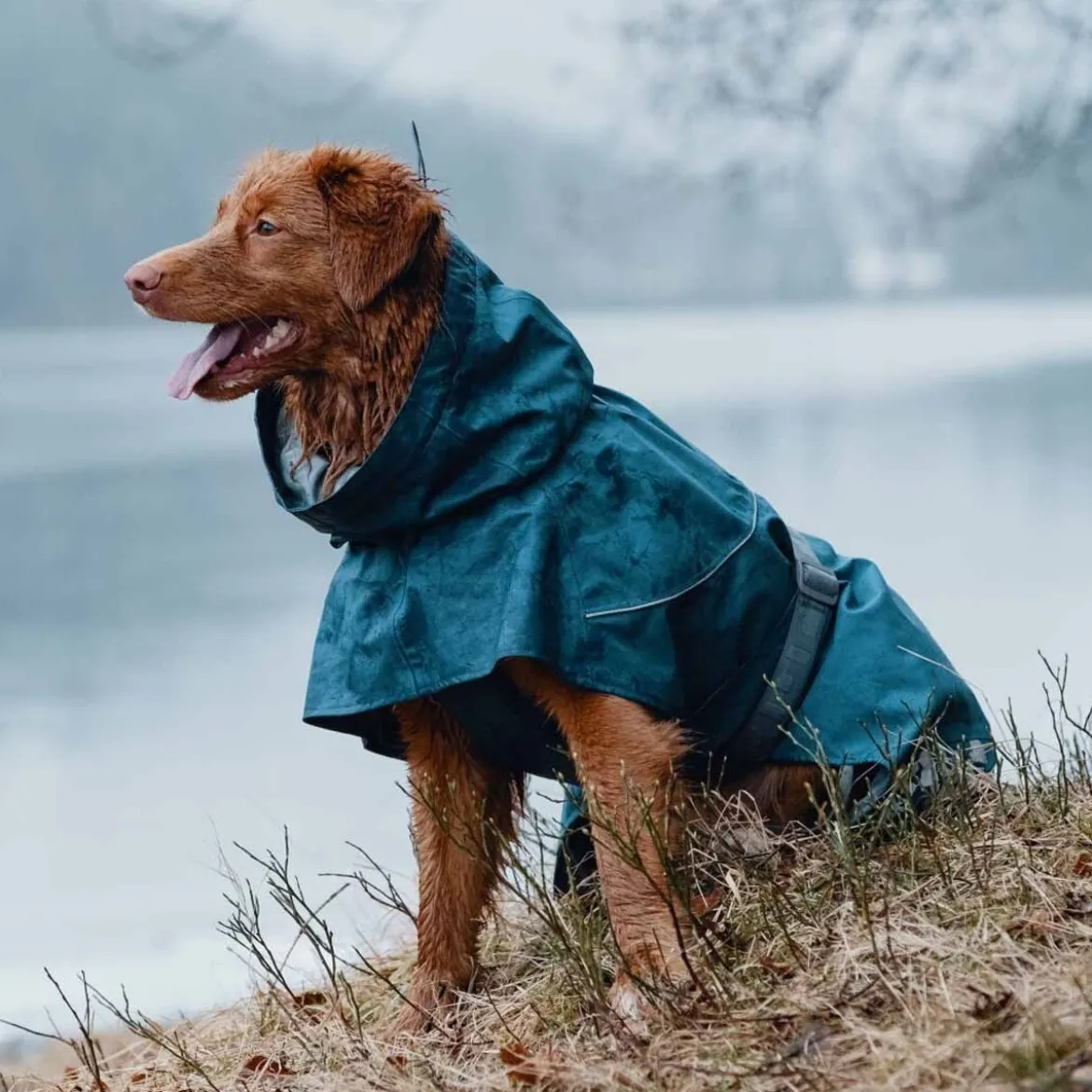 Hurtta Monsoon Hundtäcke Blå