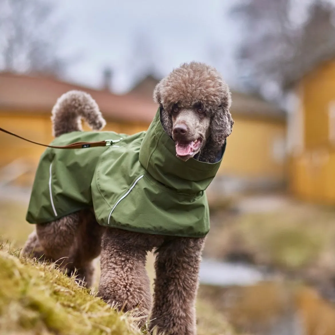 Hurtta Mudventure Eco Hundjacka Grön
