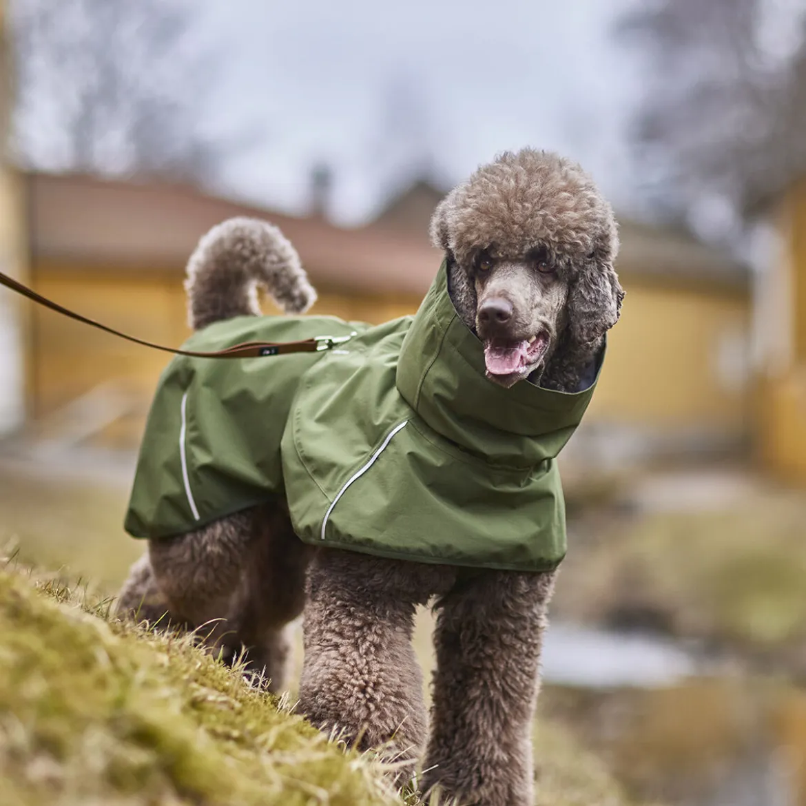 Hurtta Mudventure Eco Hundjacka Grön