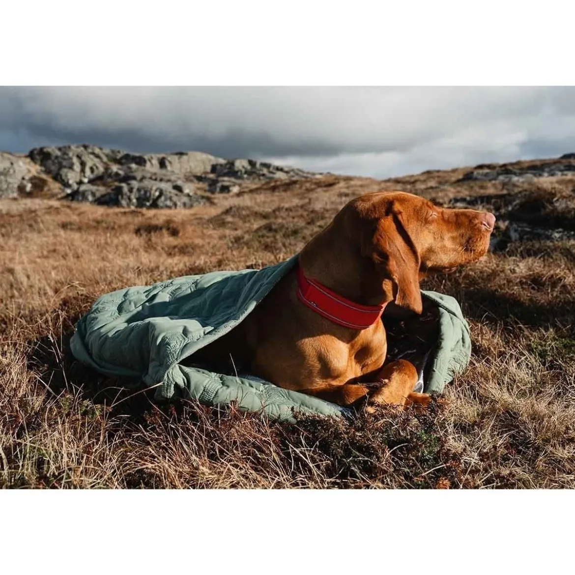 Hurtta Outback Dreamer ECO Hundsovsäck