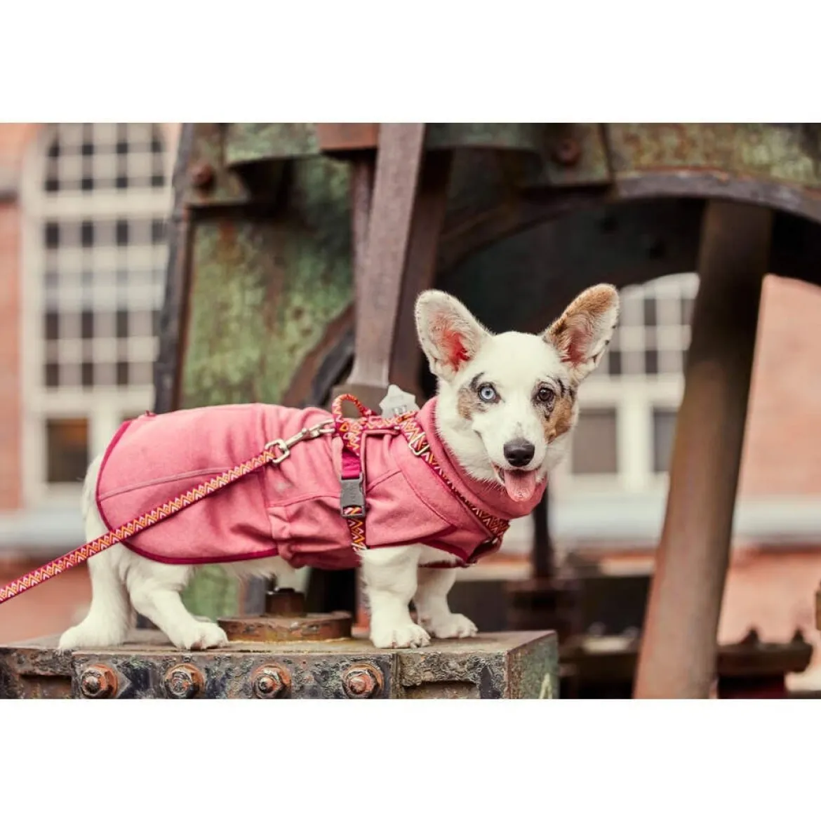 Hurtta Razzle-Dazzle Reversible Midlayer Hundjacka Rosa
