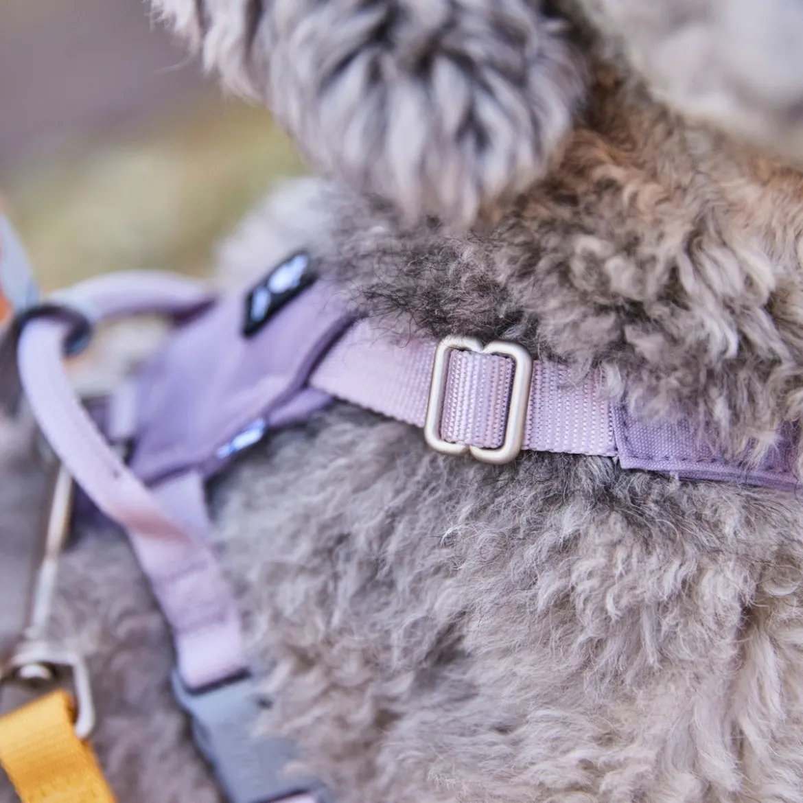 Hurtta Seeker Hundsele Ljuslila