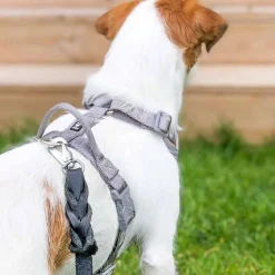 Hurtta Venture No-Pull Hundsele Blå