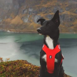 Hurtta Weekend Warrior ECO Hundsele Orange