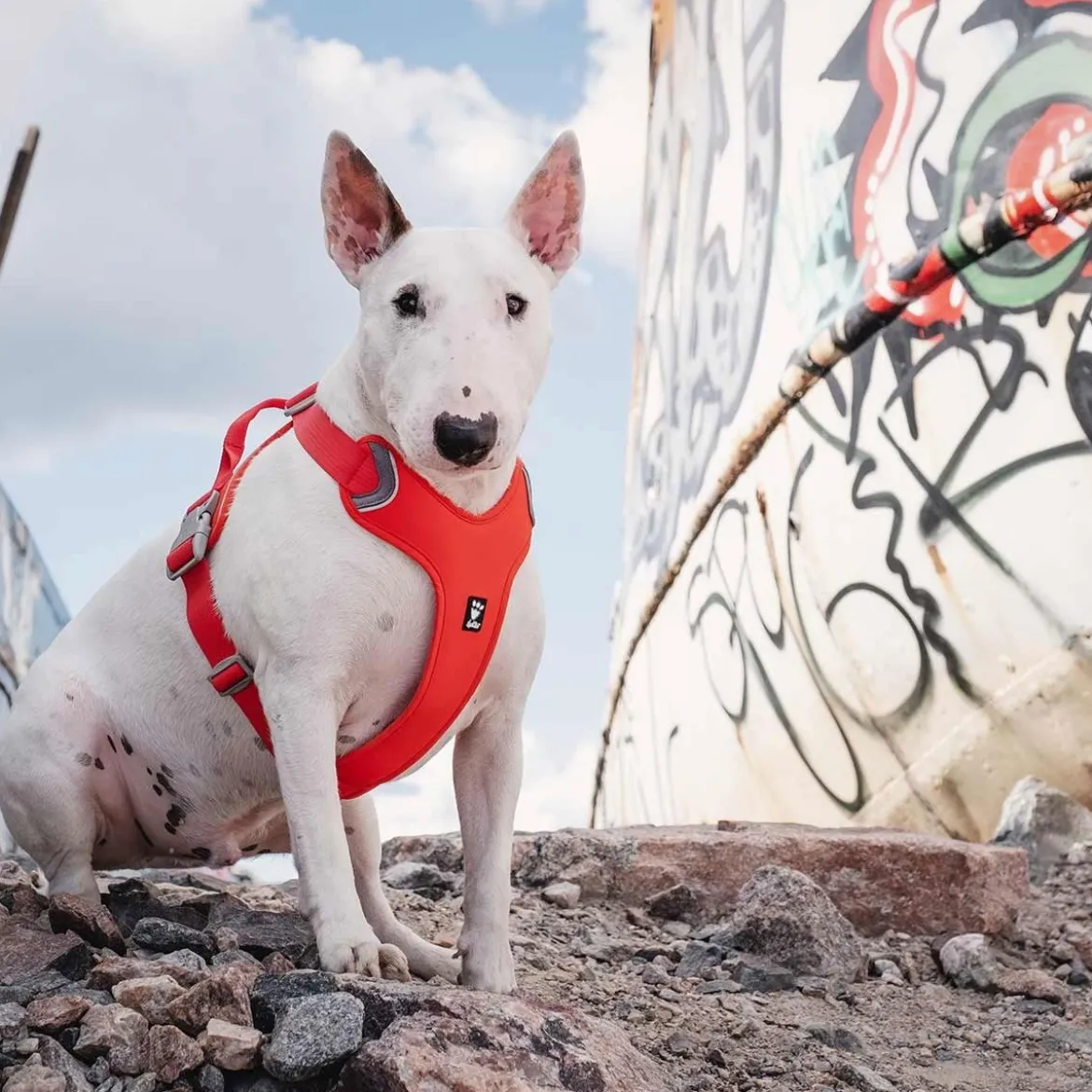 Hurtta Weekend Warrior ECO Hundsele Orange