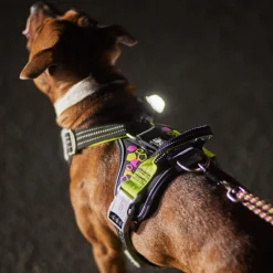 Hurtta Weekend Warrior Hundsele Neon & Svart