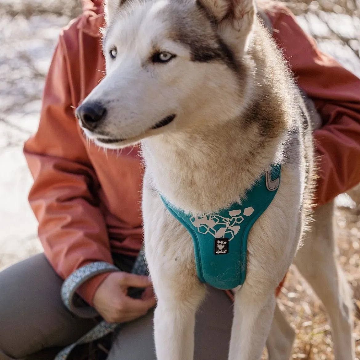Hurtta Weekend Warrior Hundsele Turkos