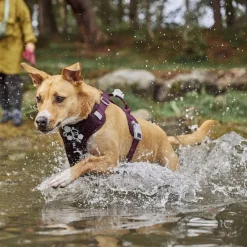 Hurtta Weekend Warrior II ECO Hundsele Lila