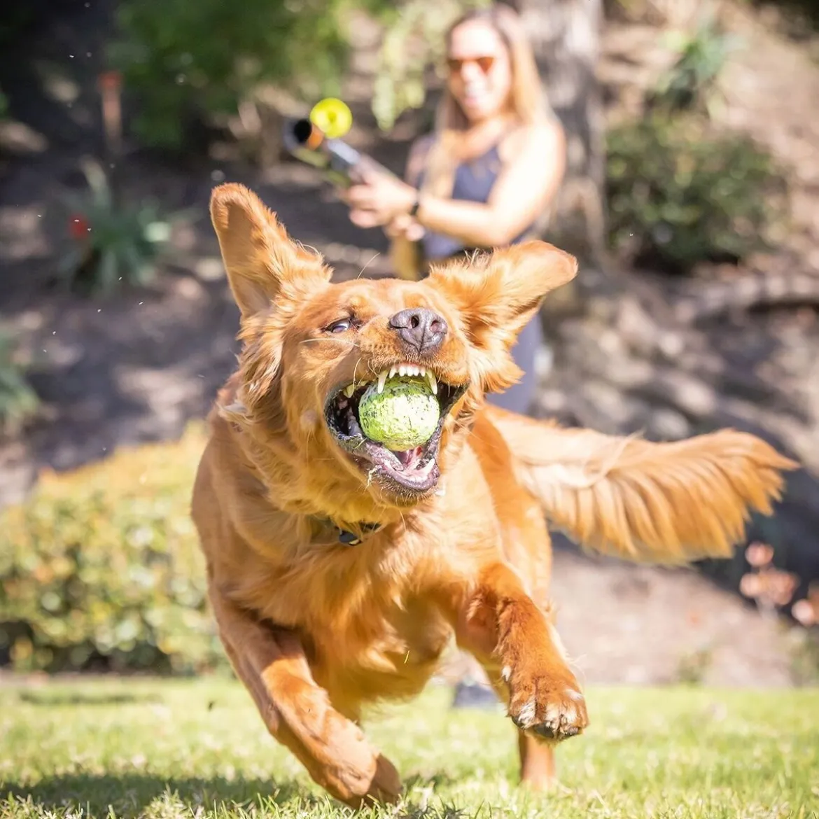 Hyper Pet K9 Kannon (GEN II) Bollkastare