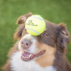 Hyper Pet Tennisbollar till K9 Kannon Bollkastare 4-pack