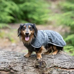 Icepeak Flen Midlayer Hundjacka Svart
