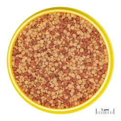 JBL NovoGranoColor (CLICK)