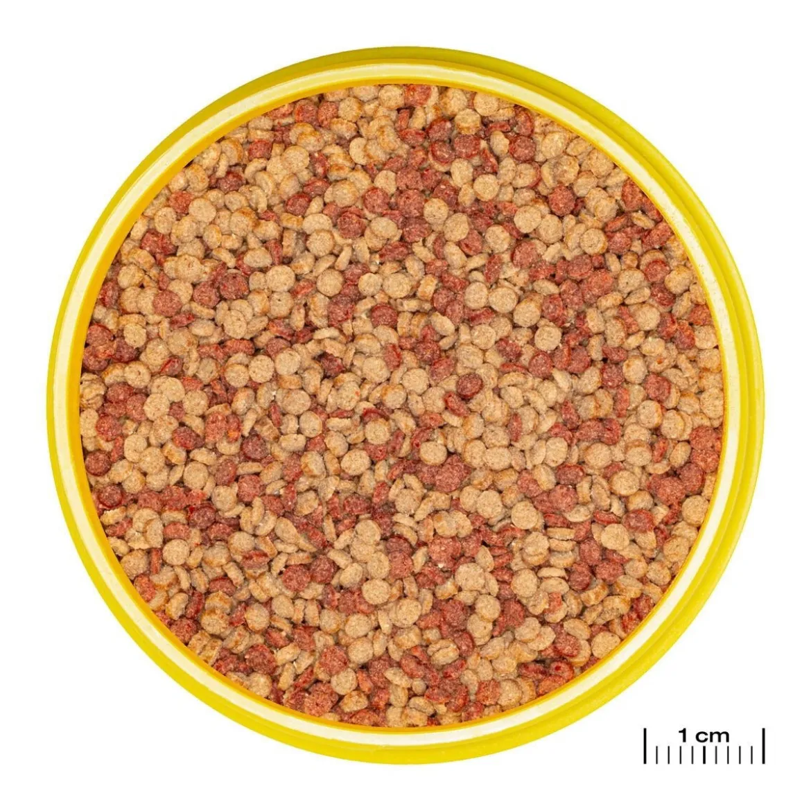 JBL NovoGranoColor (CLICK)