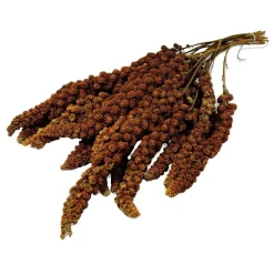 JR Farms Röd Hirskolv 250 g