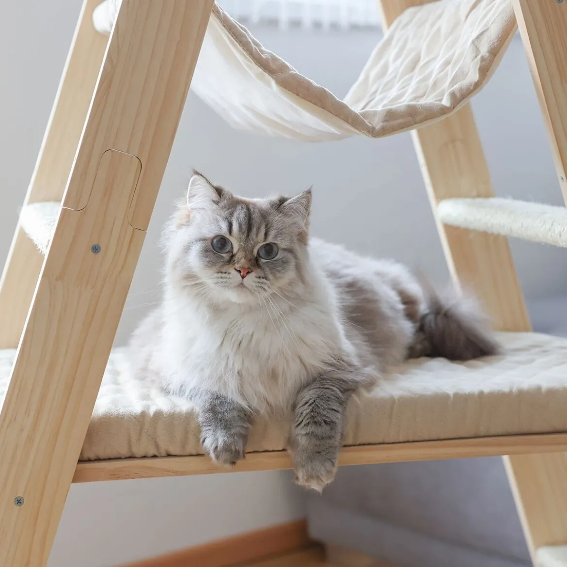 Kerbl Ladder Klätterstege för Katter