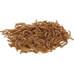Kerbl Mjölmaskar 900 g