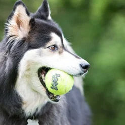 KONG AirDog Squeaker Tennisbollar