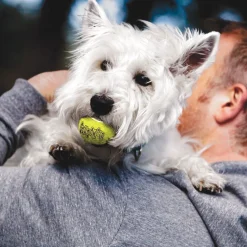 KONG AirDog Squeaker Tennisbollar