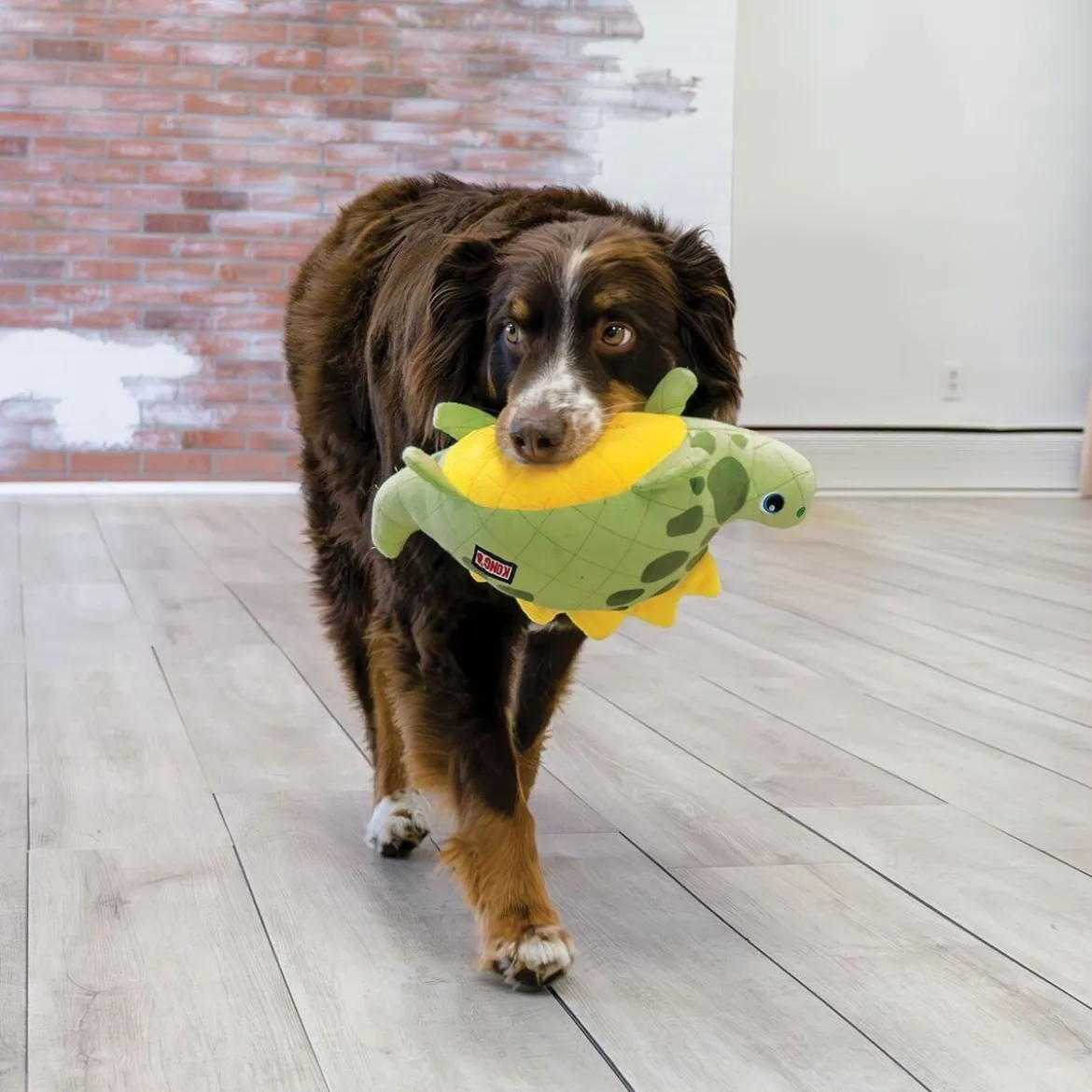 KONG Dynos Roars Mjukisdjur till Hund Dinosaurie Grön M/L