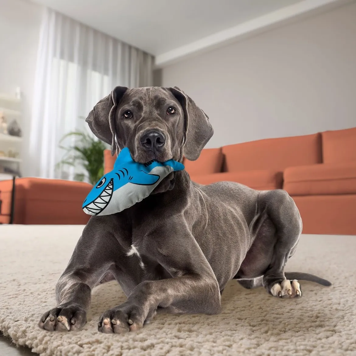 KONG Maxx Mjukisdjur till Hund Haj M