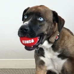 KONG Signature Sport Hundbollar S 5 cm 3-pack