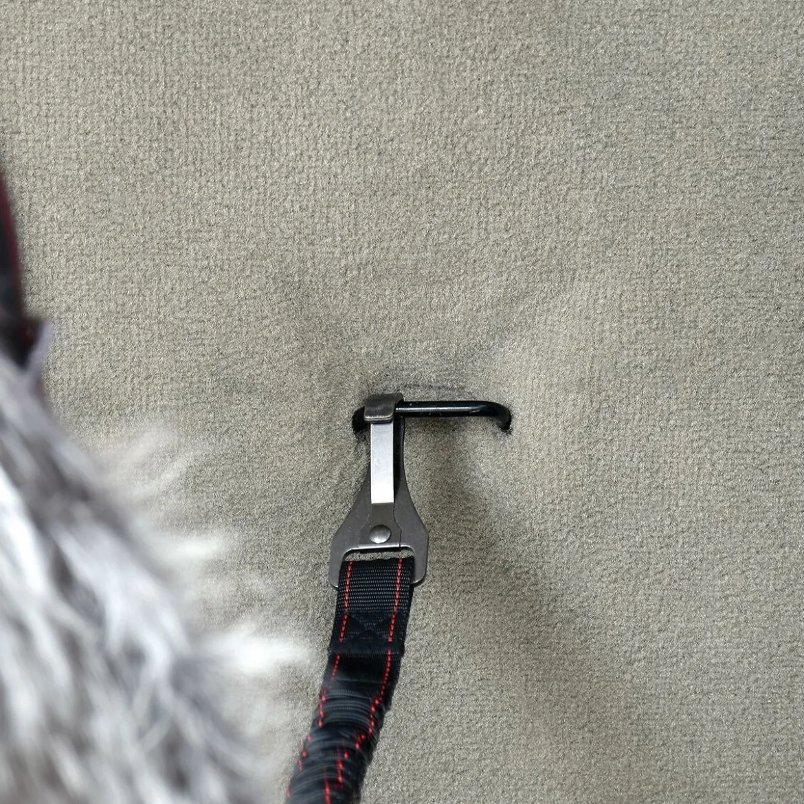 KONG Säkerhetsbälte Isofix