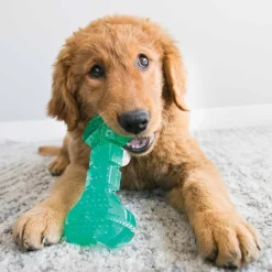 KONG Squeez Dental stick