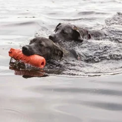 KONG Training Dummy